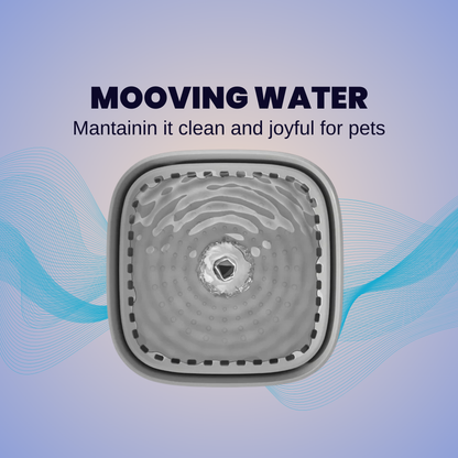 ZEST Silent Water Fountain: 3L USB Recirculating Filter | No-Mess Hydration Upgrade