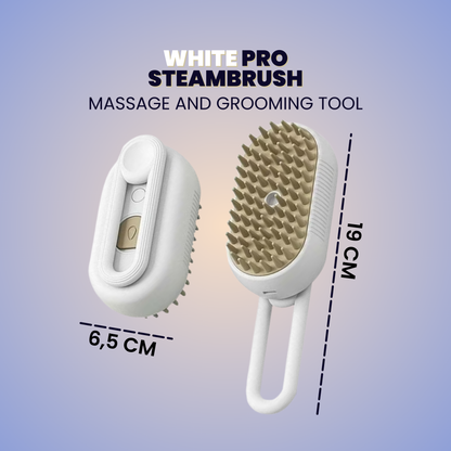 Lyczest 3-in-1 Steamy Pet Brush: Electric Mist Massage & Shedding Tool for Cats & Dogs